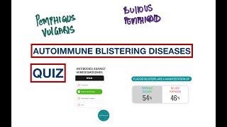 Blisters Pemphigus Vulgaris vs Bullous Pemphigoid  USMLE  MCQs [upl. by Toille469]