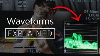 Explained  How to Read and Use Waveforms [upl. by Nhor]