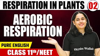 RESPIRATION IN PLANTS 02  Aerobic Respiration  Botany  Pure English  Class 11thNEET [upl. by Lasko]