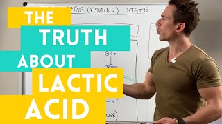 The Truth about Lactic Acid [upl. by Cioffred]