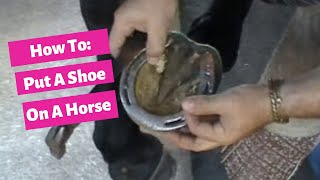 How to put a shoe on your horse by Alex Gutierrez  Dressage Hub [upl. by Iluj]