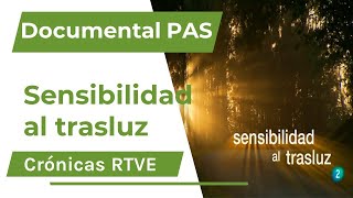 Documental quotSensibilidad al trasluzquot Personas Altamente Sensibles  PAS [upl. by Atiraj979]