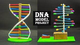 DNA Model Project [upl. by Allix]