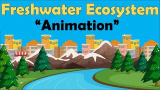 FRESHWATER ECOSYSTEM  Biology Animation [upl. by Holzman818]