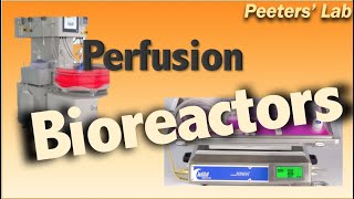 Perfusion bioreactors [upl. by Atinet]