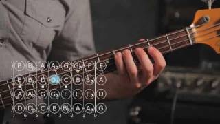 How to Play G ♯  A Flat Major Scale  Bass Guitar [upl. by Bloch]