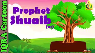 Prophet Stories SHUAIB AS  Islamic Cartoon  Quran Stories  Islamic Children Kids Videos  Ep 09 [upl. by Netniuq]