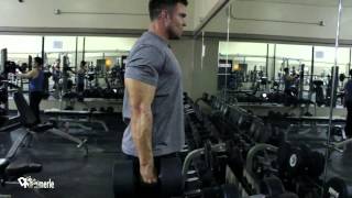 Dumbbell Side Shrugs  Fighter Workout 4 [upl. by Aztiley]