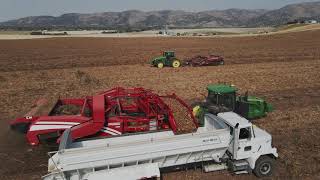 Idaho Potato Harvest  Hamilton Triple C Farms [upl. by Siul]