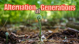 On Alternation of Generations [upl. by Demmer]