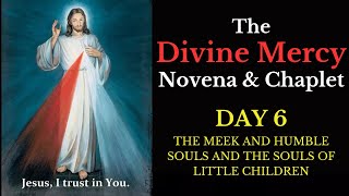 Divine Mercy Novena amp Chaplet  Day 6 [upl. by Dammahum]