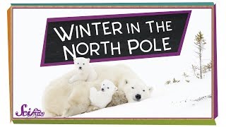 Winter at the North Pole  Winter Science  SciShow Kids [upl. by Lezti]