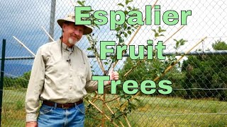 How to Espalier Fruit Trees [upl. by Cal]