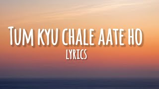 Tum kyu Chale Aate Ho Song Lyrics [upl. by Bilicki]