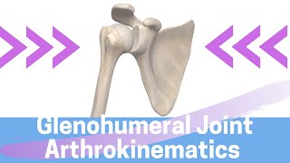 Shoulder Kinesiology Glenohumeral Joint Movement [upl. by Ahsauqram]