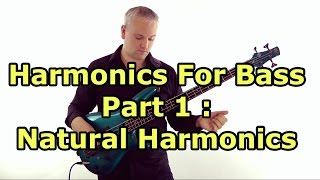 Harmonics for Bass Guitar Lesson  Natural Harmonics [upl. by Brittan951]