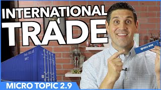 International Trade Micro Topic 29 [upl. by Annaet]