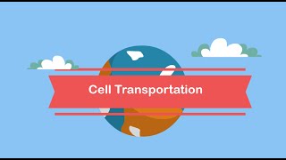 Cell TransportationPassive and Active Transport [upl. by Sucam]