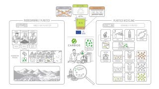 CARBIOS  Innovative solutions for reinventing the lifecycle of plastic [upl. by Ande]