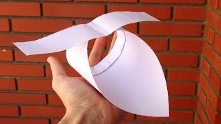 Cómo hacer un Avión de Papel en forma de pájaro [upl. by Brewster]