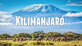 CLIMBING MOUNT KILIMANJARO [upl. by Brenk494]