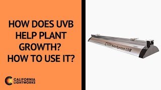 How does UVB help plant growth How to use it [upl. by Ozneral393]