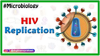 HIV Replication  Microbiology Medical Animations [upl. by Dunham]