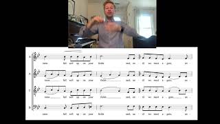 Irish Blessing  Tenor practice [upl. by Aihsal]