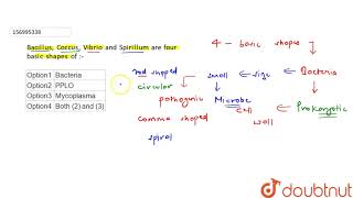 Bacillus Coccus Vibrio and Spirillum are four basic shapes of [upl. by Aneloc]