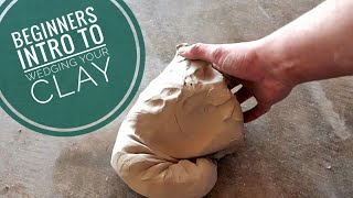 Beginners Intro to Wedging your Clay [upl. by Cadal]