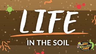 Life in the Soil [upl. by Zelde]