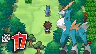 Lets Play Pokemon White 2  Part 17  COBALION [upl. by Felike]