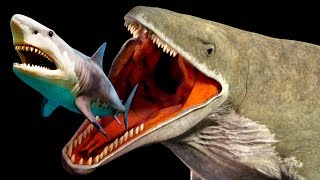 Mariana Trench Creatures That Are Scarier Than Megalodon [upl. by Nivad365]