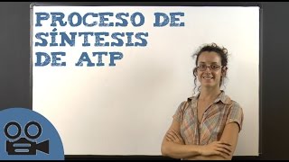 Proceso de síntesis de ATP [upl. by Nylsoj]