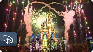 Happily Ever After Fireworks at Magic Kingdom  Walt Disney World [upl. by Aelber]