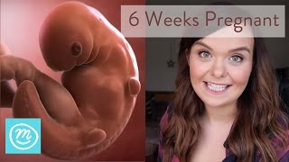 6 Weeks Pregnant What You Need To Know  Channel Mum [upl. by Percy]