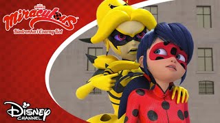 🤫 Podstęp  Miraculous Biedronka i Czarny Kot  Disney Channel Polska [upl. by Munro934]