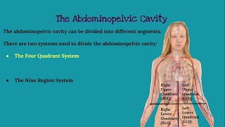 CHAPTER 1 Introduction to Anatomy and Physiology [upl. by Watson]