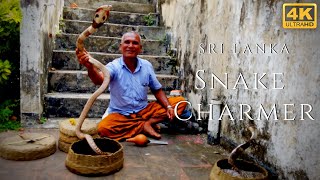 Snake Charmer 4k Cobra Dancing Flute Amazing Street Performer Sri Lanka [upl. by Leahplar260]