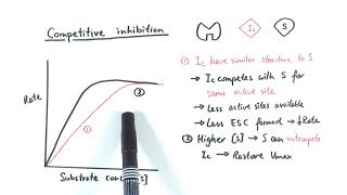 AS Biology  Enzyme inhibition OCR A Chapter 43 [upl. by Bryn]