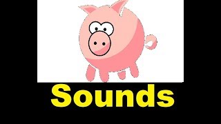 Pig Squeal Sound Effects All Sounds [upl. by Huntley]