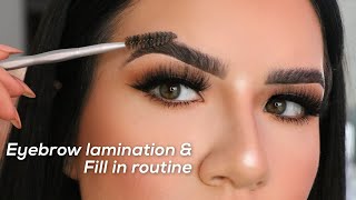 Brow Lamination amp Brow Tutorial How I Fill Them In [upl. by Annah]