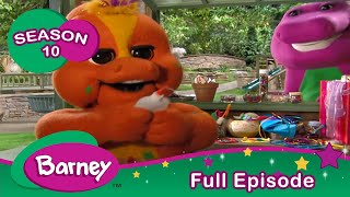 Barney  Caring  Full Episode  Season 10 [upl. by Noiro]