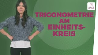 Trigonometrie anschaulich erklärt I musstewissen Mathe [upl. by Aneeram]