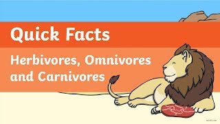 Quick Facts Herbivores Omnivores and Carnivores Video [upl. by Thema539]