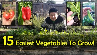 The 15 Easiest Vegetables To Grow For Beginners [upl. by Solita976]