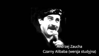 Andrzej Zaucha  Czarny Alibaba wersja studyjna [upl. by Llorre903]