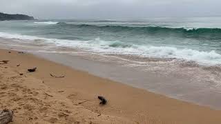 Tathra Beach [upl. by Sakhuja]