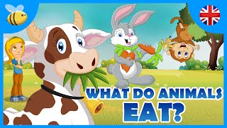 What do Carnivores Herbivores and Omnivores Animals Eat  Kids Videos [upl. by Elsilrac]