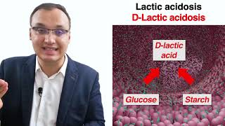 Diabetes complications  Lactic acidosis [upl. by Goodrow172]